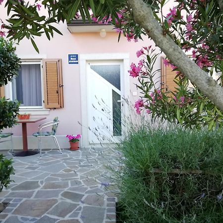 Apartmani Vesna Buje Zewnętrze zdjęcie