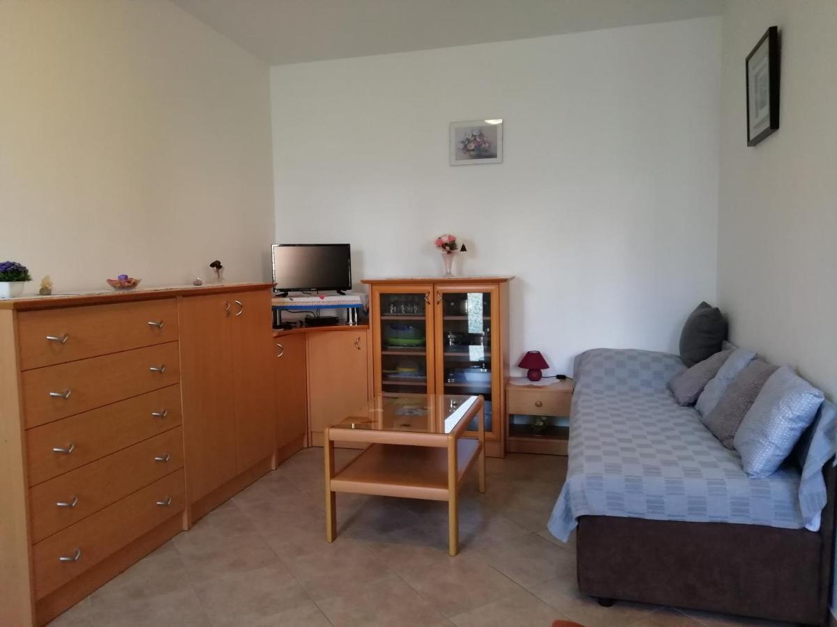 Apartmani Vesna Buje Zewnętrze zdjęcie