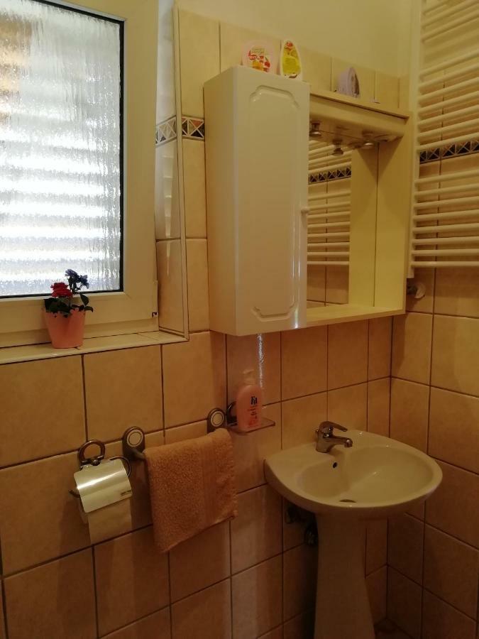 Apartmani Vesna Buje Zewnętrze zdjęcie